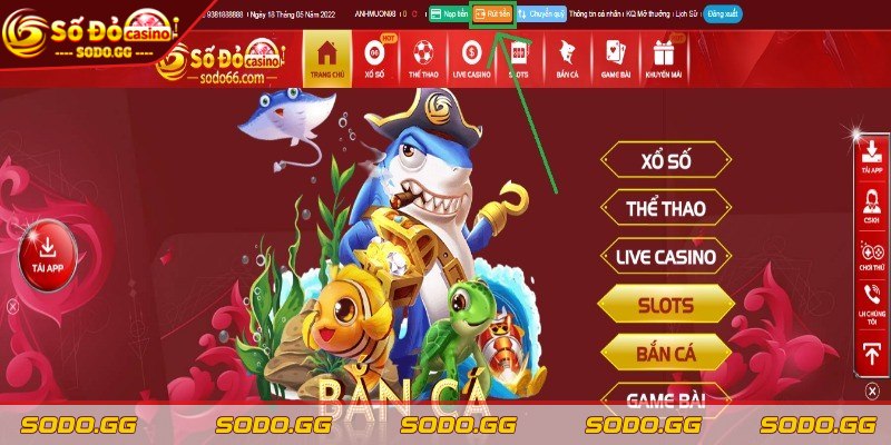 Rút Tiền Tài Khoản SODO - Bật Mí Những Cách Thức An Toàn - rut tien tai khoan sodo nhap so tien Nhập số tiền cần rút