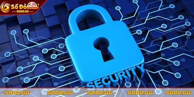 Chính Sách Bảo Mật Sodo - An Toàn Tuyệt Đối Cho Mọi Tay Chơi - chinh sach bao mat chi thu thap Chỉ thu thập những thông tin cần thiết, đảm bảo minh bạch