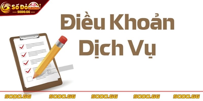 Điều Khoản Dịch Vụ Sodo - Quy Định Cần Thiết Anh Em Nên Biết - dieu khoan dich vu nam ro giao dich tai chinh Nắm rõ giao dịch tài chính để tránh rủi ro