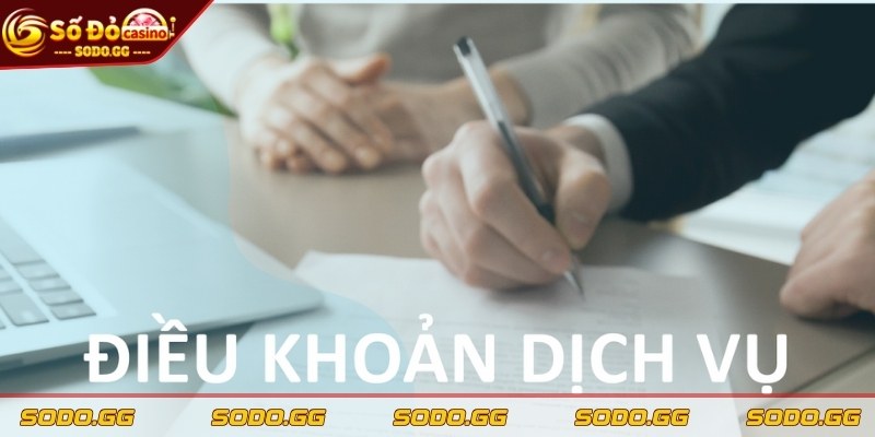 Điều Khoản Dịch Vụ Sodo - Quy Định Cần Thiết Anh Em Nên Biết - dieu khoan dich vu quy dinh Quy định về trách nhiệm của người chơi