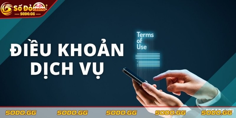Điều Khoản Dịch Vụ Sodo - Quy Định Cần Thiết Anh Em Nên Biết - dieu khoan dich vu vai tro Vai trò của các điều khoản dịch vụ trong quá trình cá cược