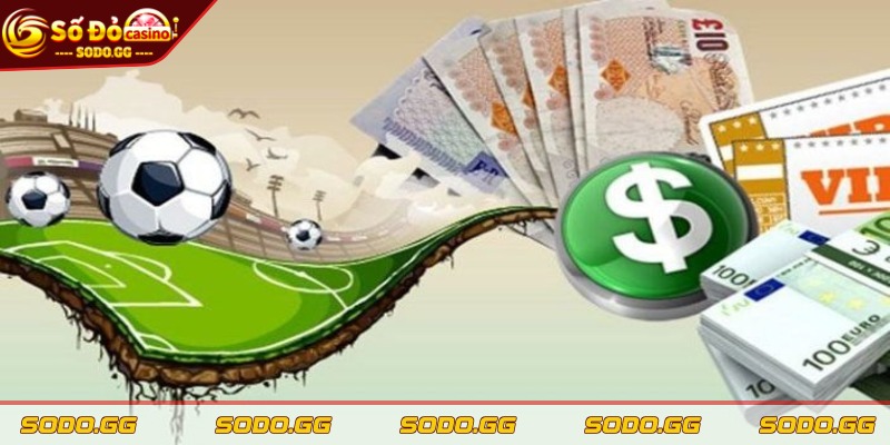 Hoàn Trả Cược Thể Thao - Nhận Lại Tiền Thua Dễ Dàng - hoan tra cuoc the thao hong the rut lien Tiền hoàn không thể rút liền