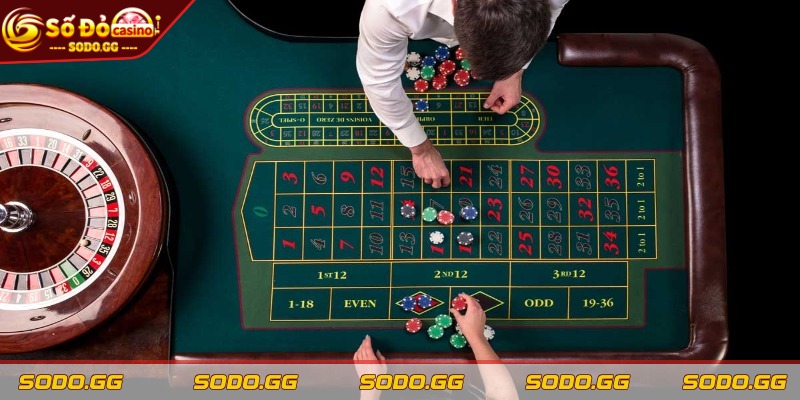 Mẹo Chơi Roulette Hiệu Quả Để Tối Ưu Hóa Chiến Thắng - meo choi roulette hieu qua theo doi lich su ket qua Mẹo chơi roulette hiệu quả - Theo dõi lịch sử kết quả