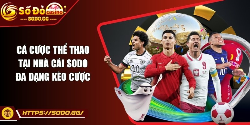 sodo - Trang Chủ - sodo ca cuoc the thao Cá cược thể thao đa dạng kèo cược