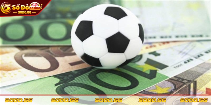 Tip Bóng Đá Uy Tín - Đặt Cược Hiệu Quả, Thắng Nhanh - tip bong da uy tin nguon tham khao Nguồn tham khảo đáng tin cậy