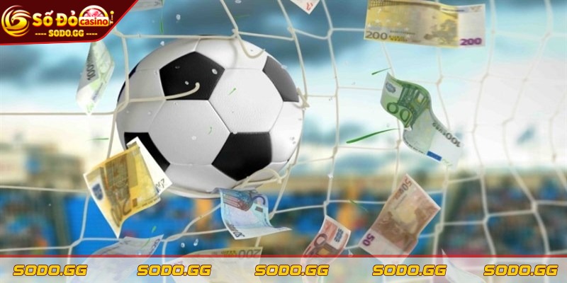 Tip Bóng Đá Uy Tín - Đặt Cược Hiệu Quả, Thắng Nhanh - tip bong da uy tin nhung dieu can Những điều cần biết về tip bóng đá
