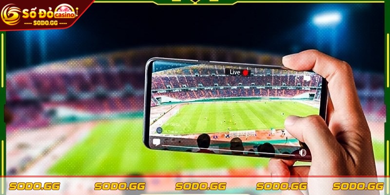 Tip Bóng Đá Uy Tín - Đặt Cược Hiệu Quả, Thắng Nhanh - tip bong da uy tin tham khao them Tham khảo thêm nhiều tip bóng đá uy tín từ cao thủ